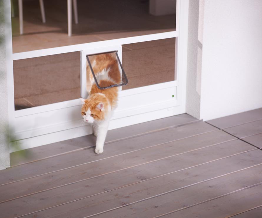 Auch an Ihre Katze wird hier gedacht